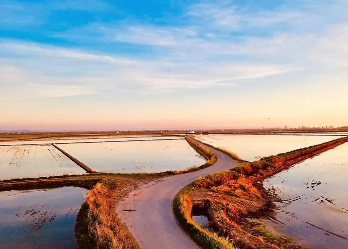 Cozy In A Beachfront Complex * El Mareny Blau